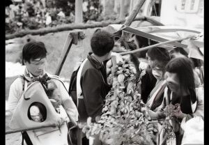 哈兰德：从新星崛起到足坛巨星的传奇之路与未来展望